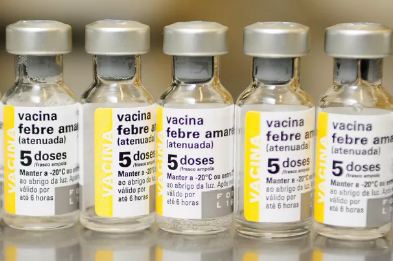 Febre amarela: Como proteger bebês? O que é dose fracionada? Veja perguntas e respostas
